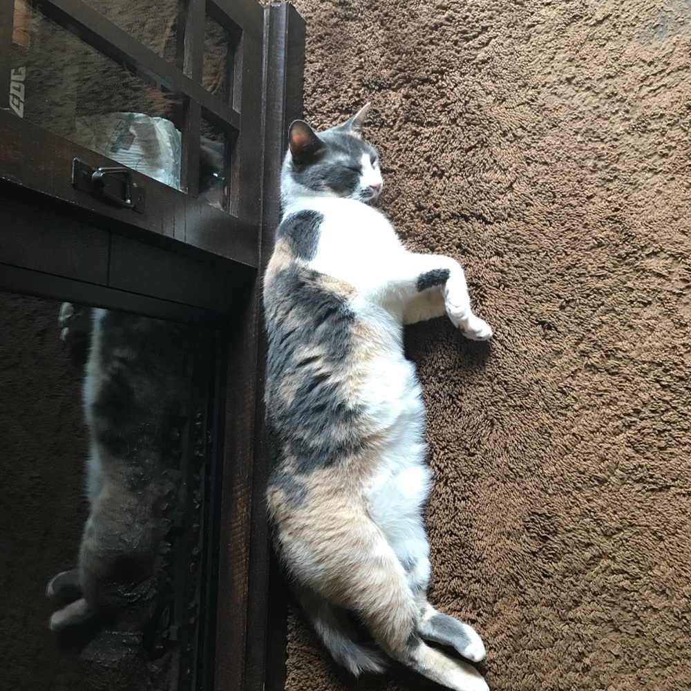 Meet your Posher, Crystal